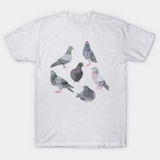 Pigeon Party T-Shirt